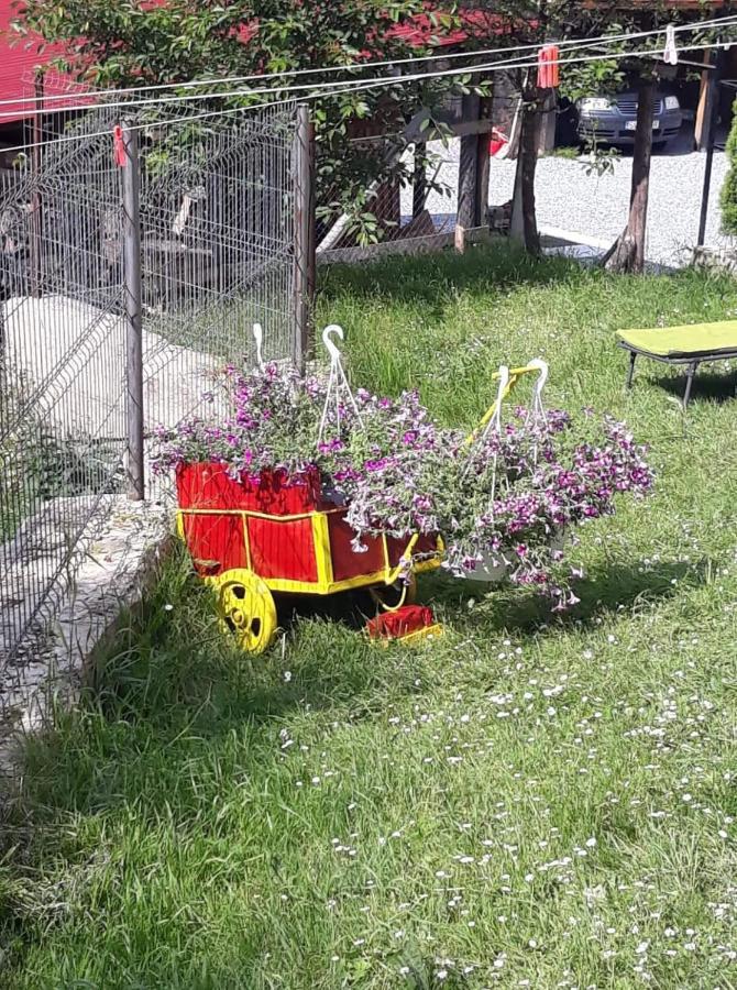 Pensiunea Io-mara * Vatra Dornei