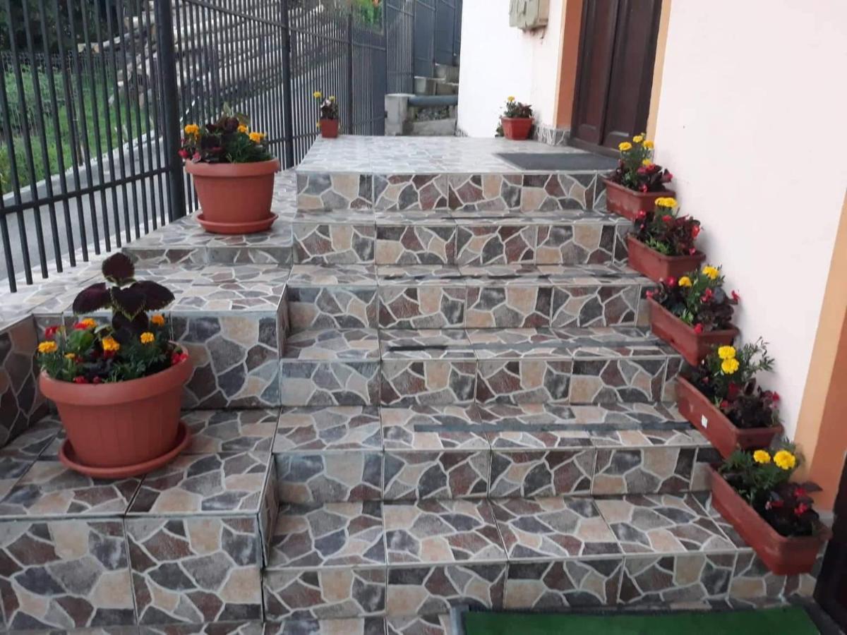 Homestay Pensiunea Io-mara *