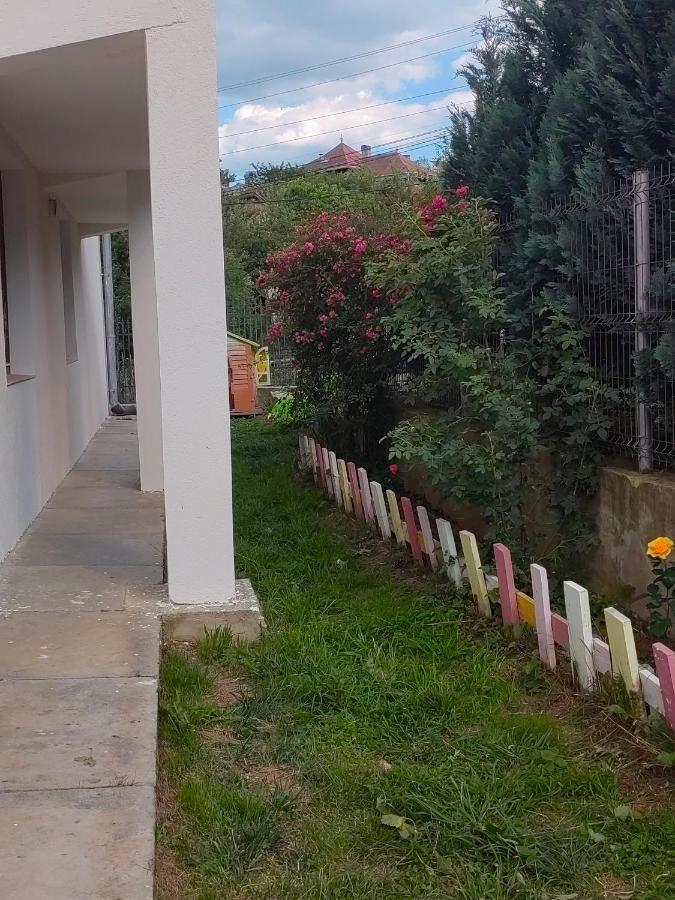 Pensiunea Io-mara 民宿 *